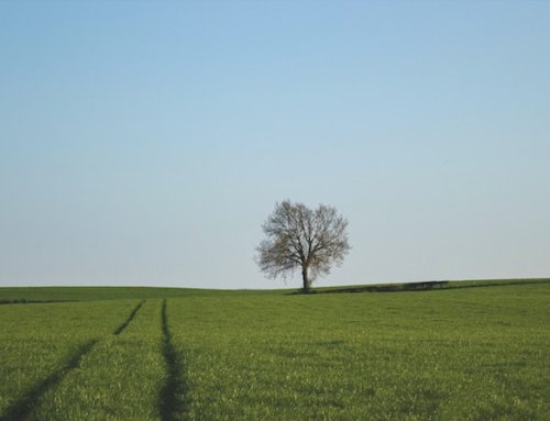 Quiet Time Your Personal Time With God