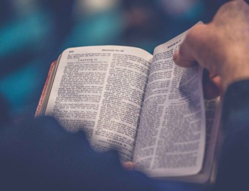 Read Your Bible: What is the Bible?